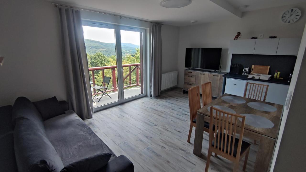 Apartament Źródełko Rac REALIZACJA BONU TURYSTYCZNEGO Świeradów-Zdrój Zewnętrze zdjęcie